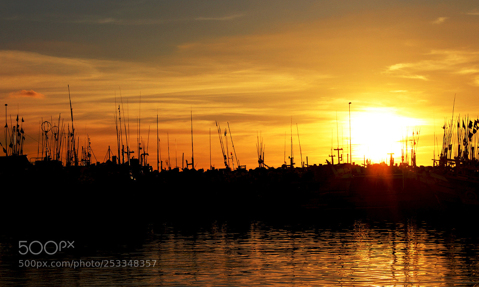 Canon EOS 1300D (EOS Rebel T6 / EOS Kiss X80) sample photo. Golden sunset photography
