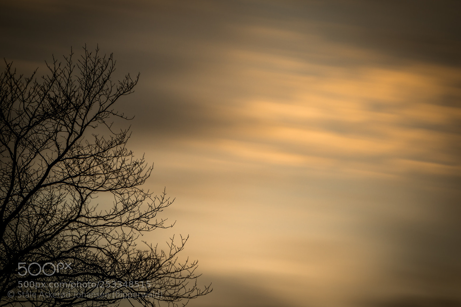 Canon EOS 7D Mark II sample photo. And then there were photography