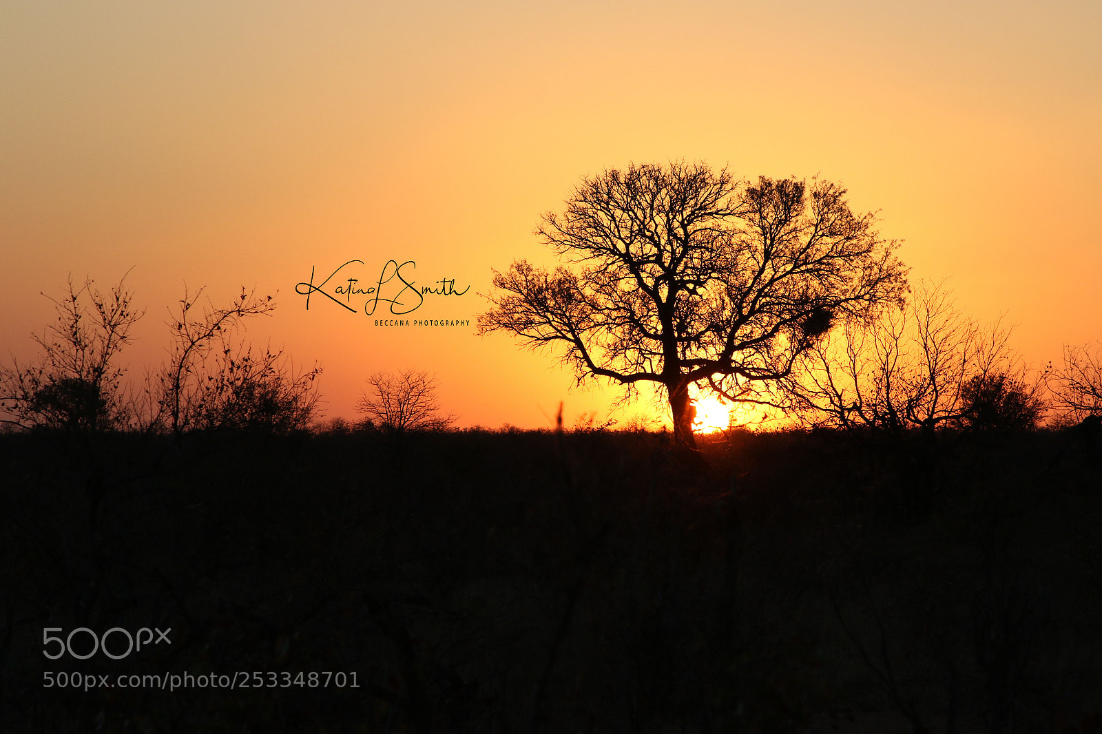 Canon EOS 7D Mark II sample photo. Sunset photography