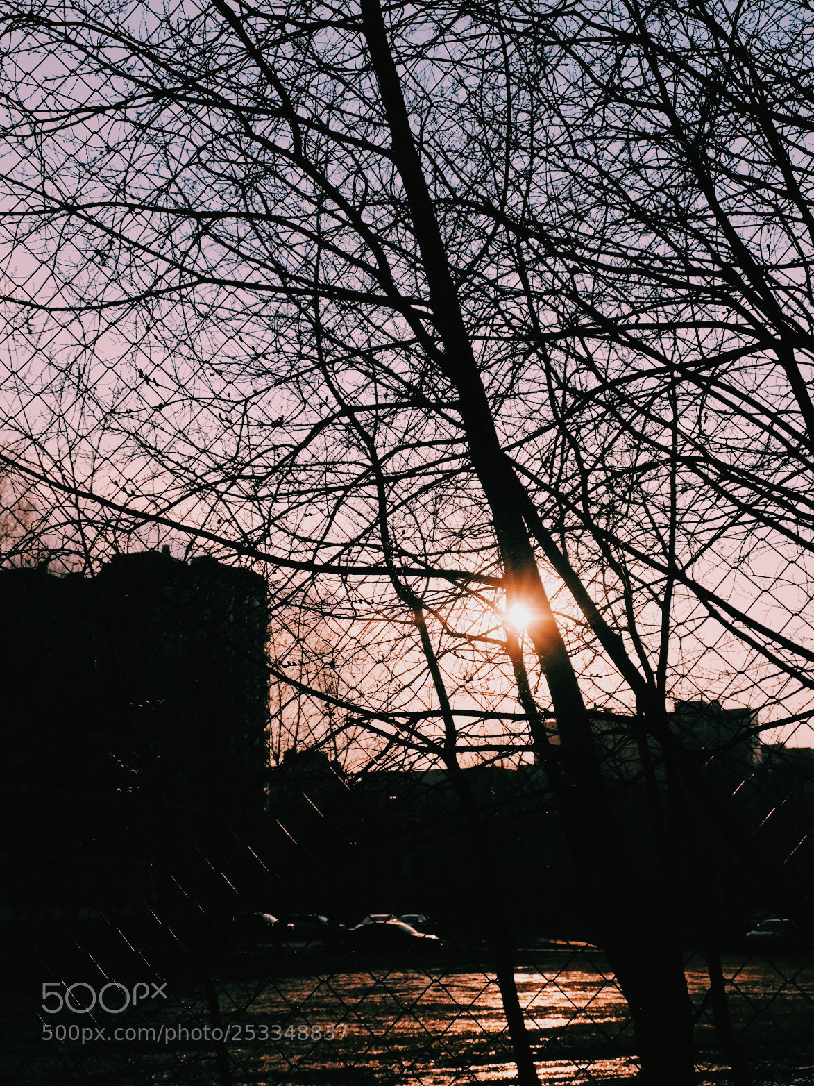 Fujifilm X-T1 sample photo. Closed photography