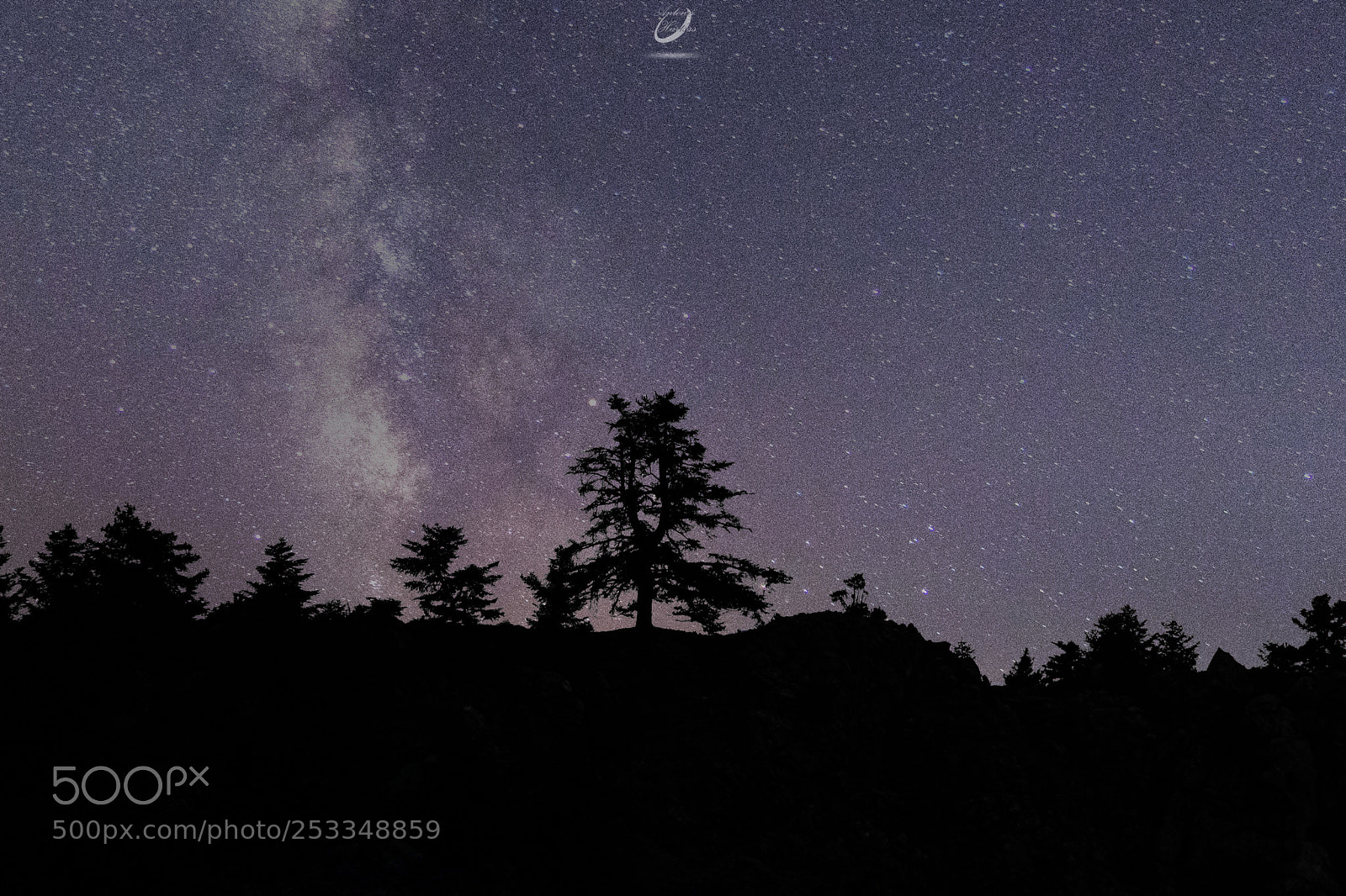 Nikon D3400 sample photo. Milky way tree photography