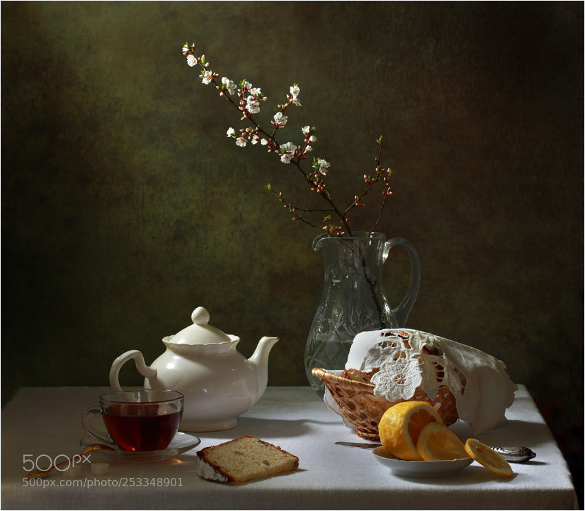 Canon EOS 550D (EOS Rebel T2i / EOS Kiss X4) sample photo. Spring still life with photography