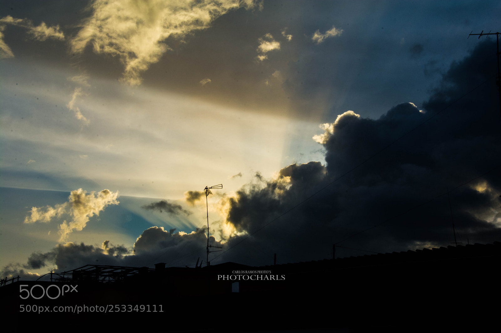 Nikon D7100 sample photo. Light sun photography