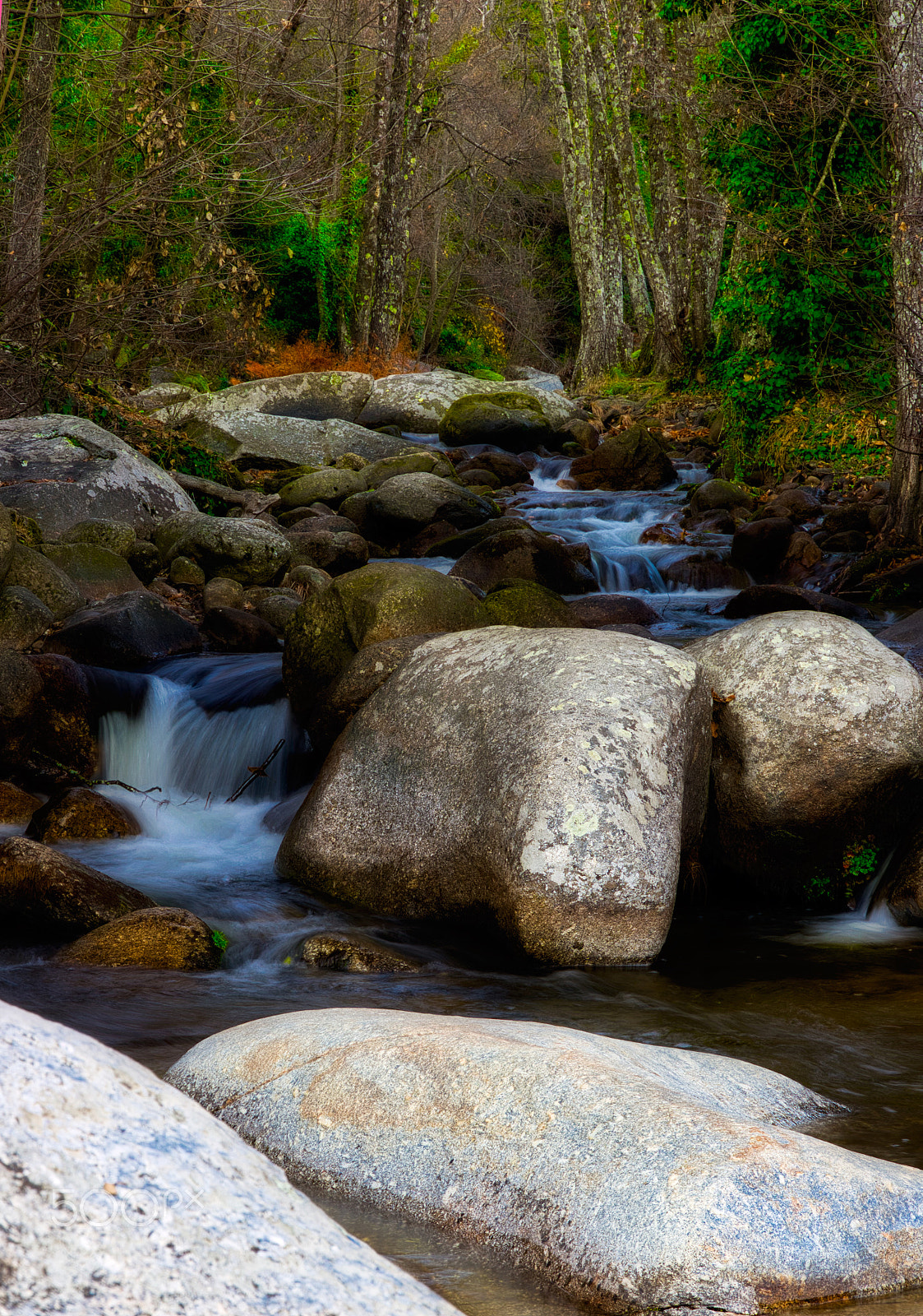 Canon EOS 550D (EOS Rebel T2i / EOS Kiss X4) sample photo. Valle del jerte photography