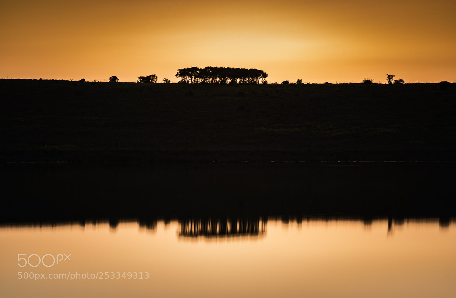Nikon D810 sample photo. Atardecer en guadiloba photography