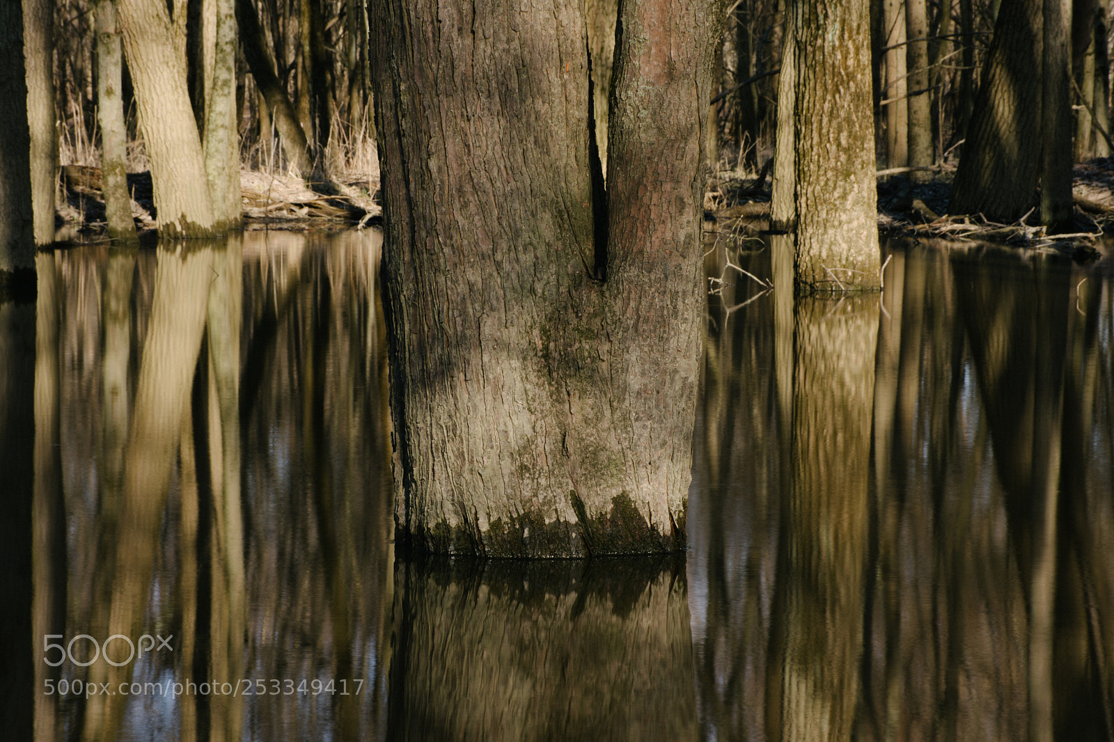 Nikon D7200 sample photo. A little bit closer photography