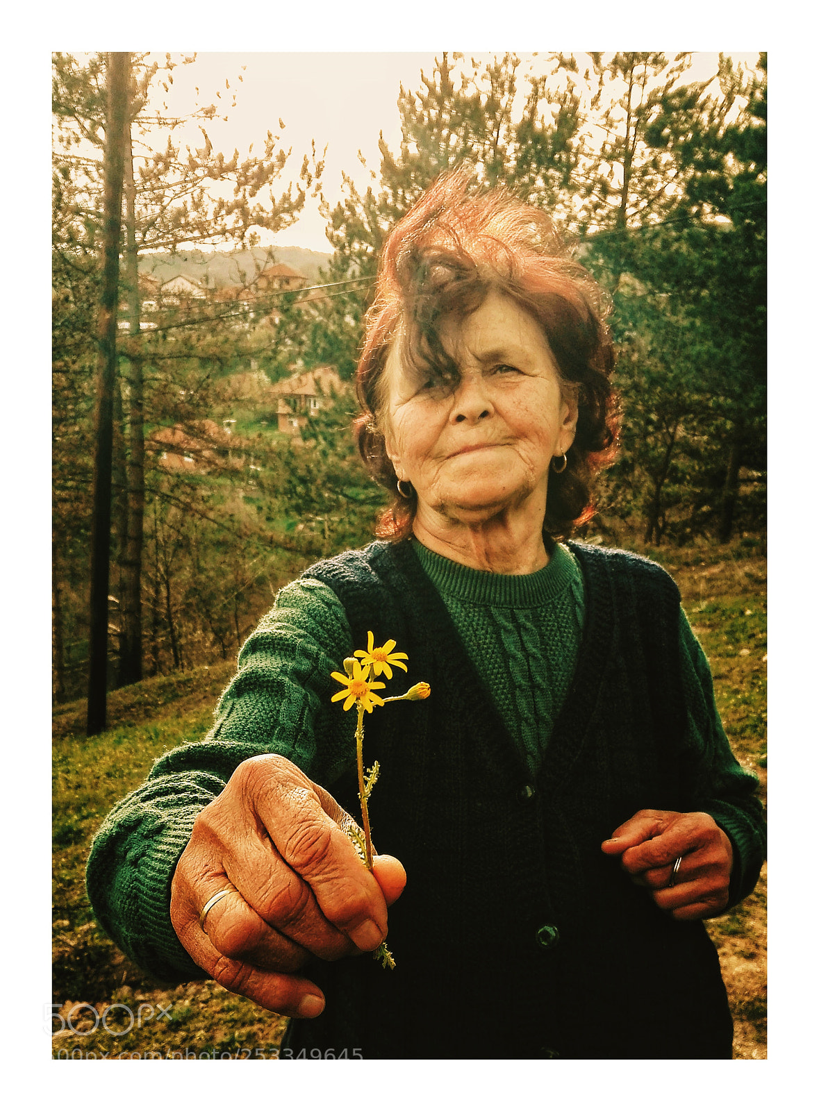 HUAWEI P8 Lite sample photo. I love my granny photography