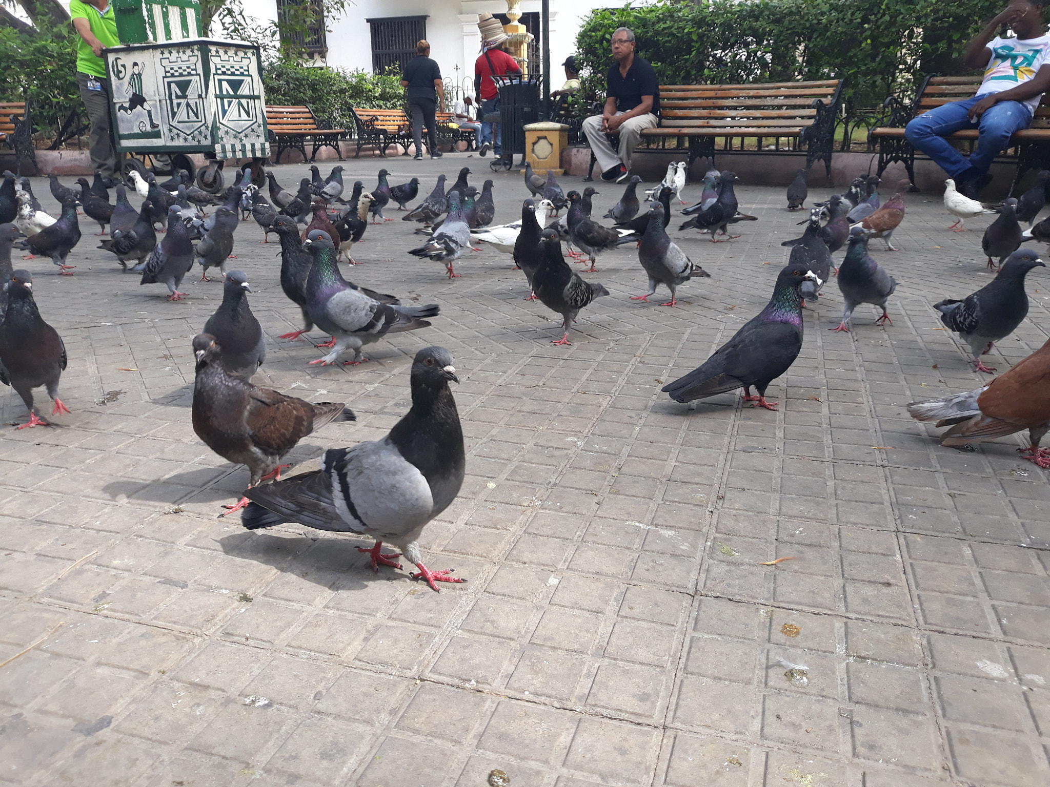 Samsung Galaxy J5 Pro sample photo