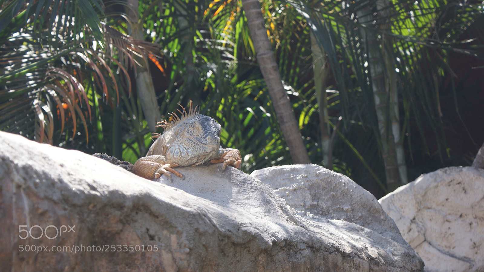 Sony DT 18-70mm F3.5-5.6 sample photo. Untitled photography