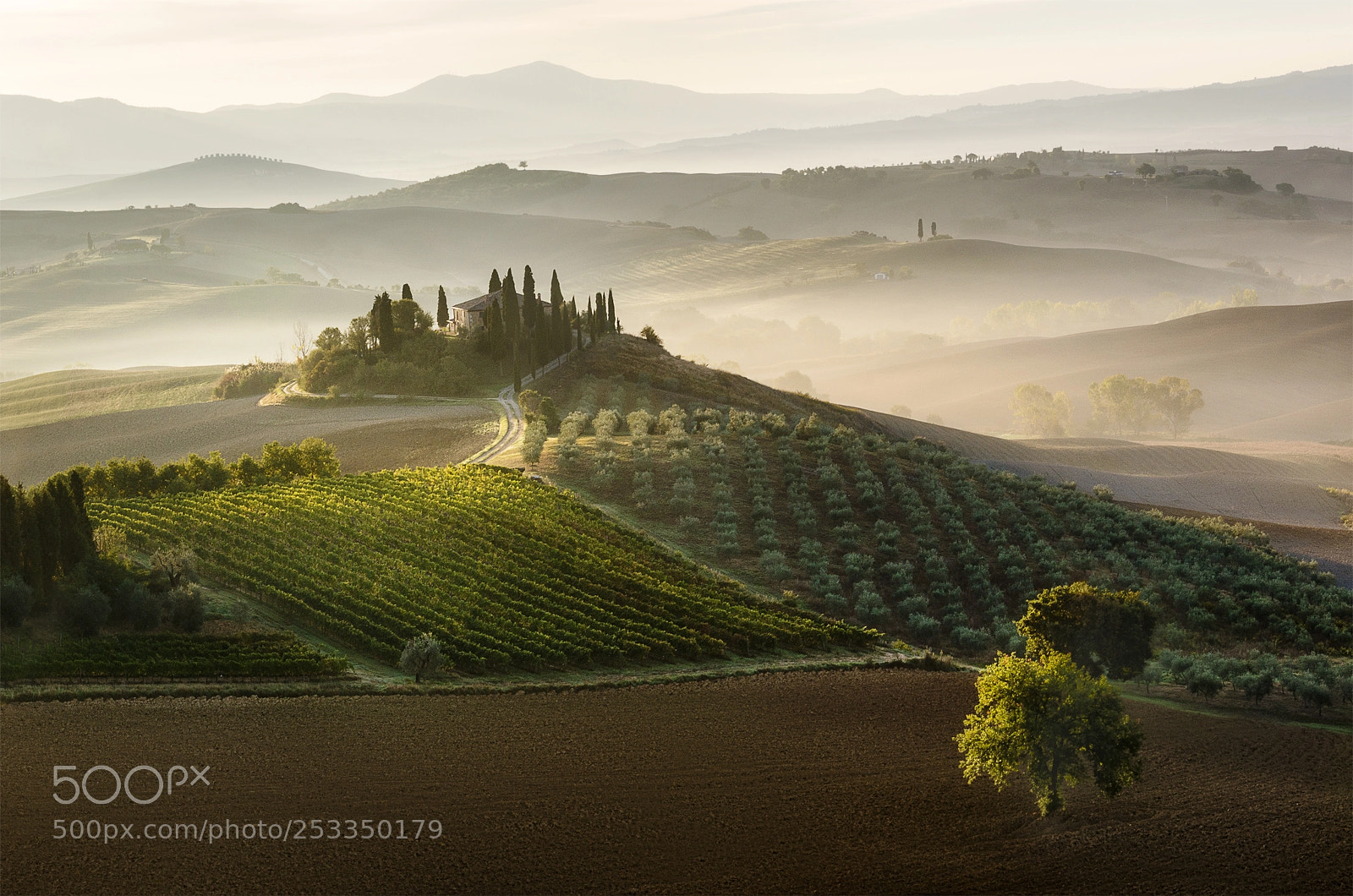 Nikon D7000 sample photo. Val d'orcia at dawn photography