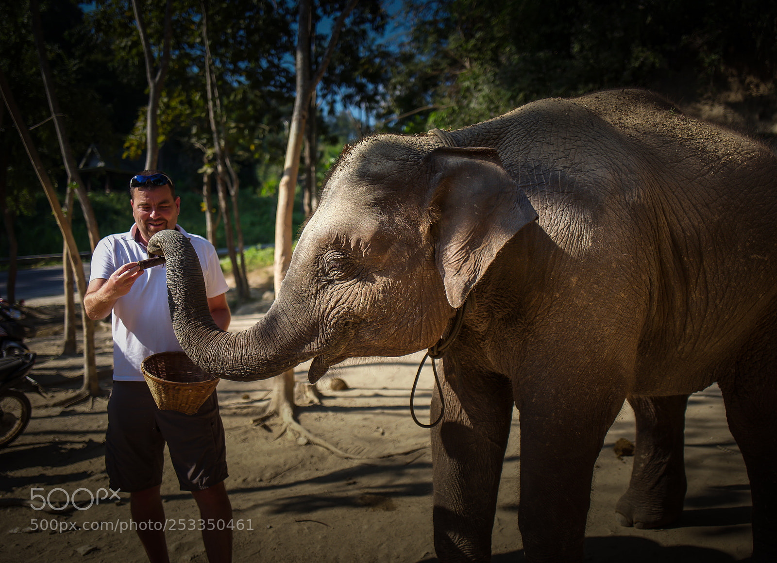 Leica Q (Typ 116) sample photo. Feeding. photography