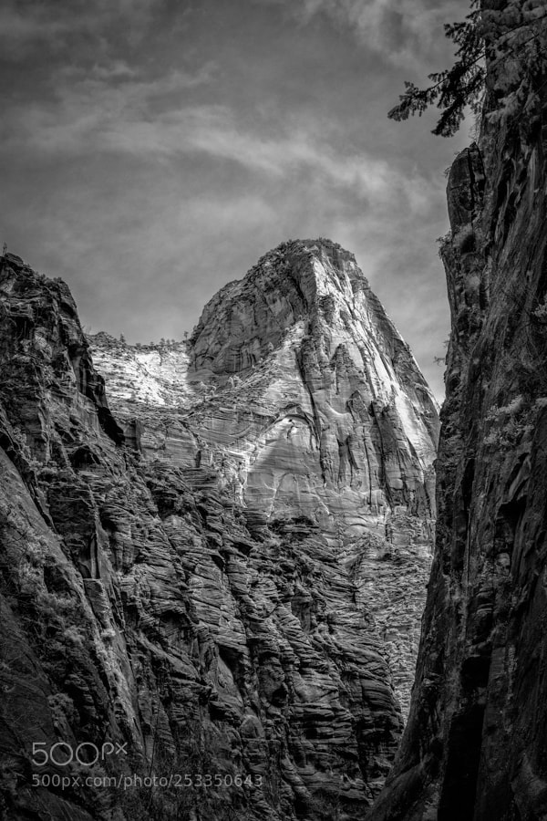 Sony a7 sample photo. Zion national park in photography