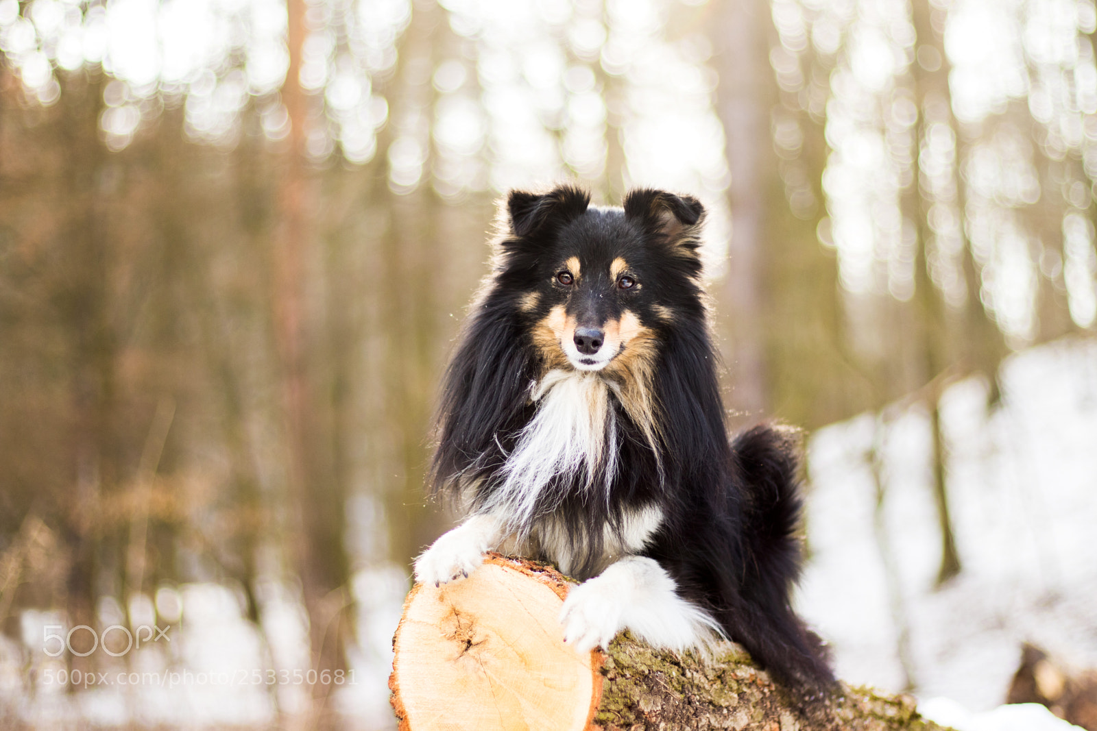 Canon EOS 7D Mark II sample photo. Lori ii. photography