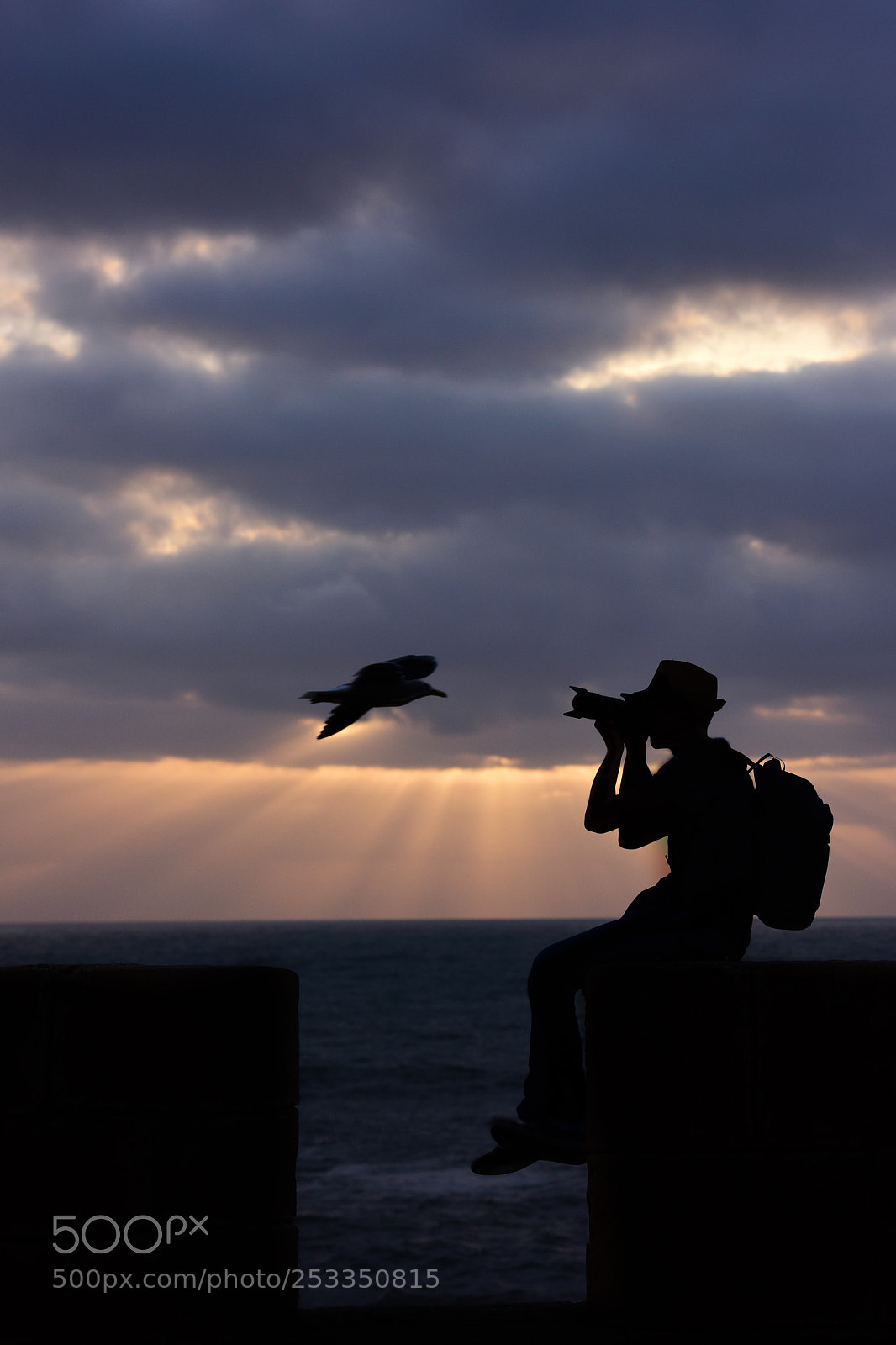Nikon D810 sample photo. The photrapher and the photography