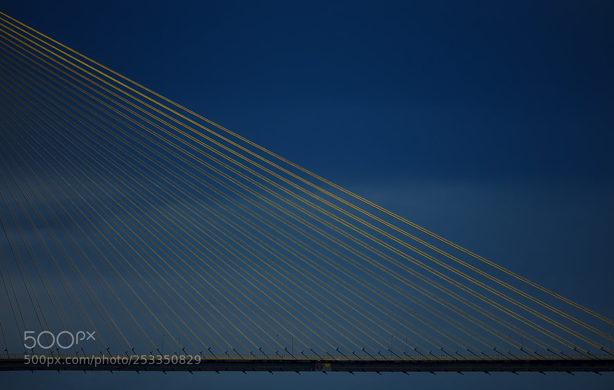 Fujifilm X-T2 sample photo. Ponte rio negro photography