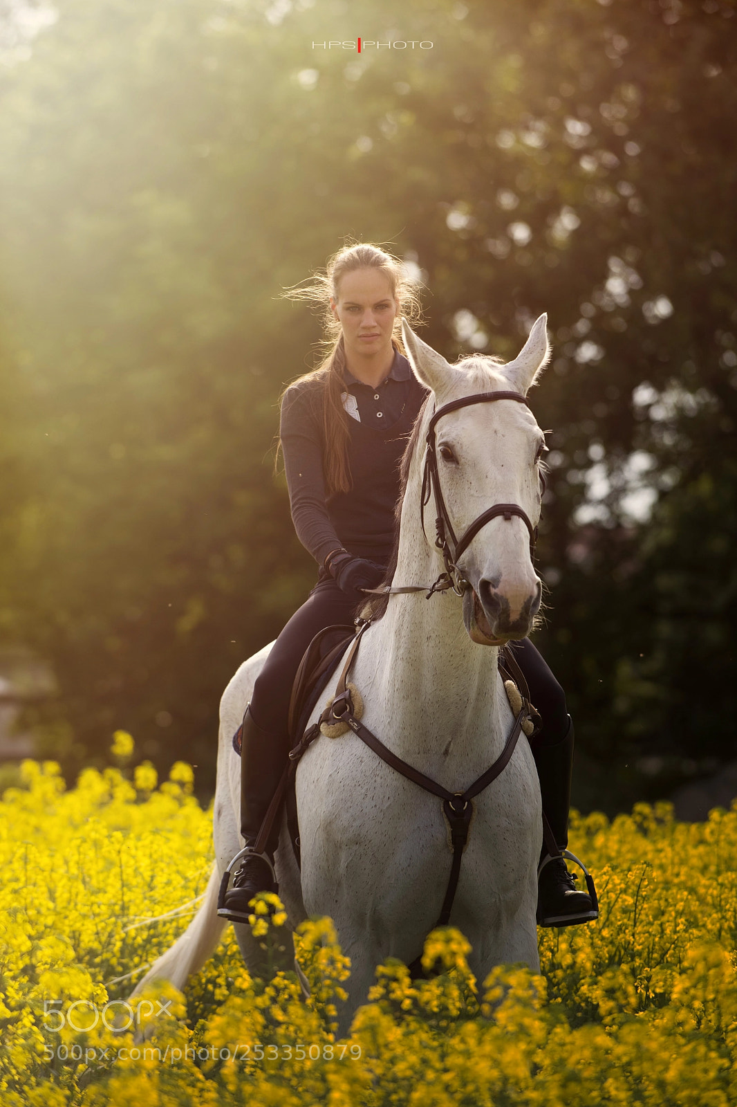 Nikon D610 sample photo. Horse and girl photography