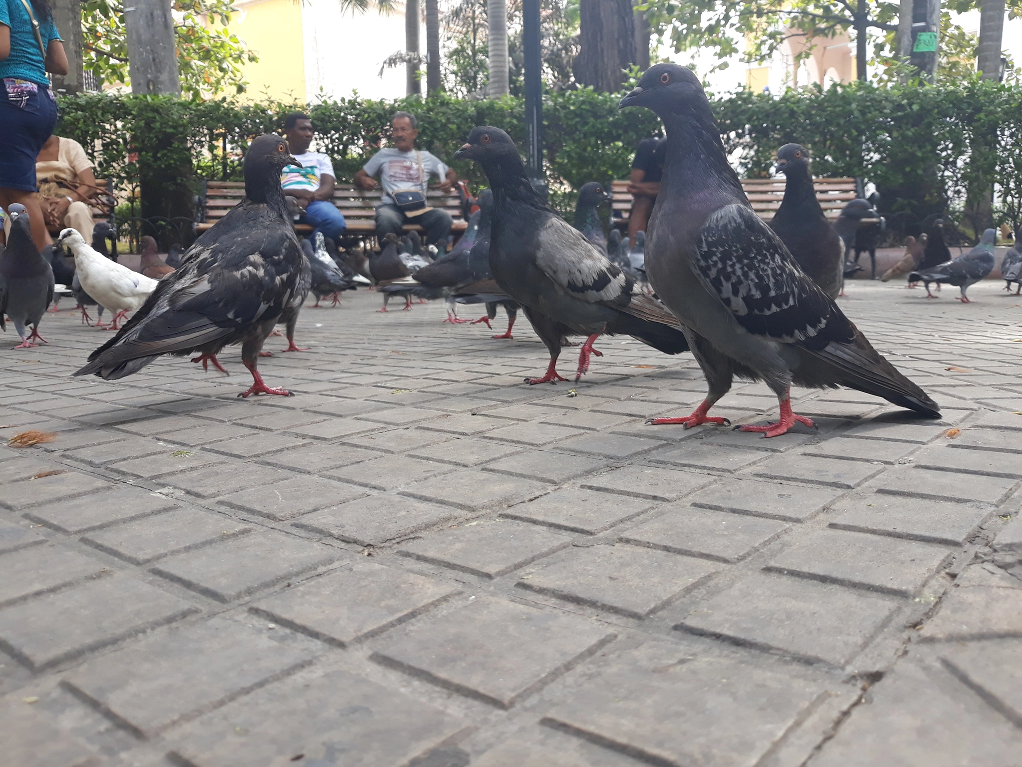 Samsung Galaxy J5 Pro sample photo