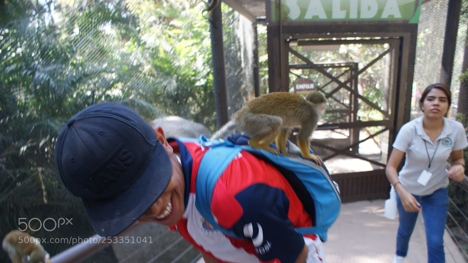 Sony DT 18-70mm F3.5-5.6 sample photo. Curiosidad del animal photography