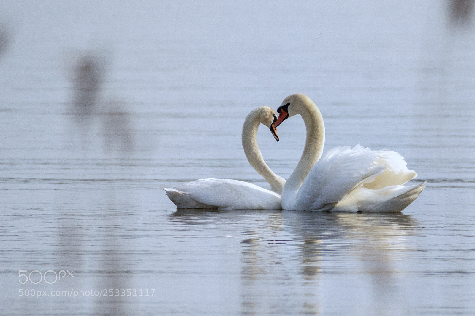 Canon EOS 7D Mark II sample photo. Love story - mute photography