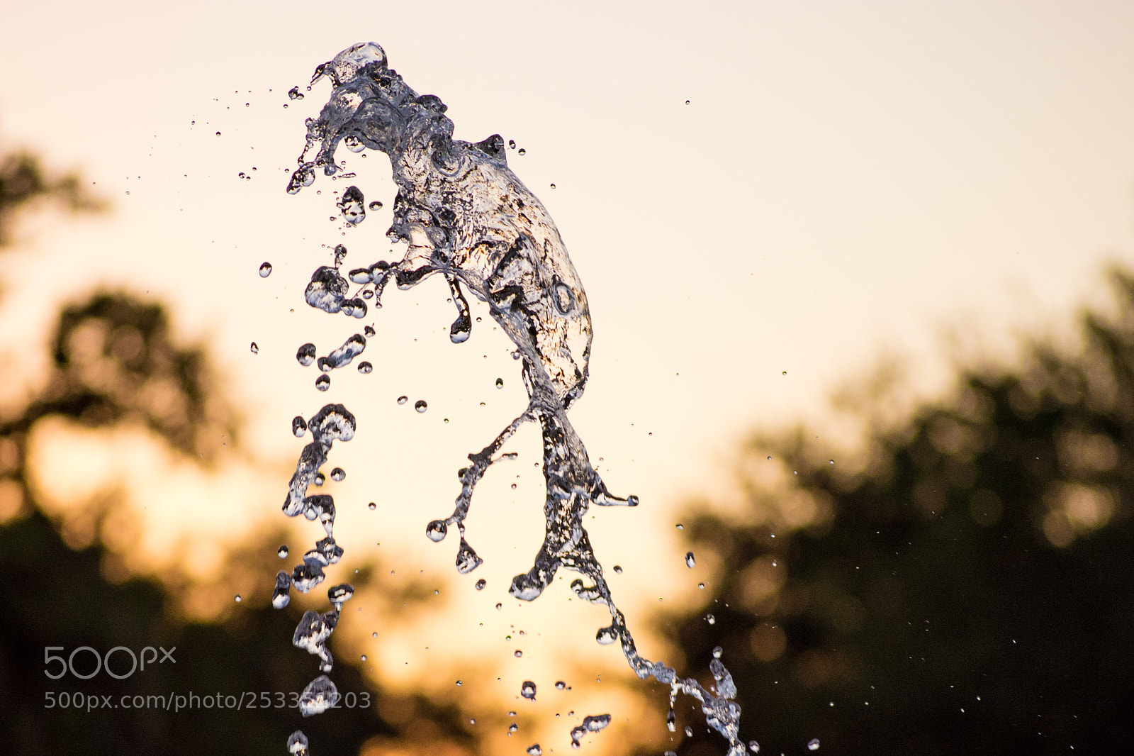 Nikon D5200 sample photo. Acceptance photography