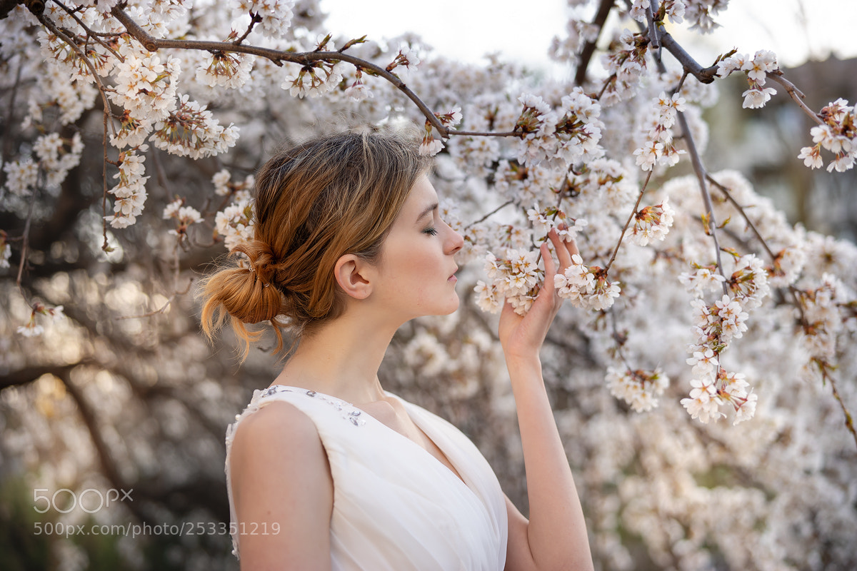 Sony a7 II sample photo. Young woman in wedding photography