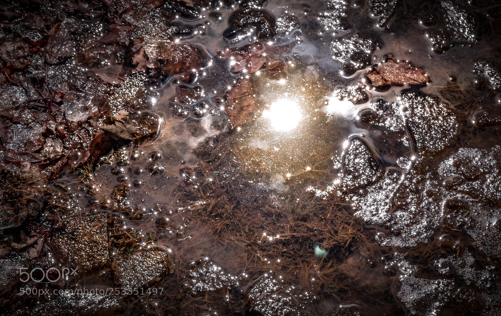 Nikon D3100 sample photo. Reflection photography