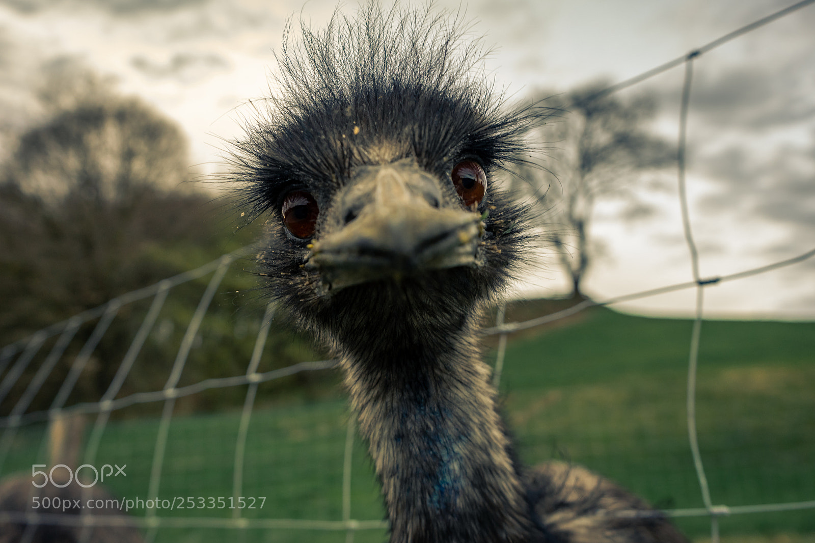 Sony a7 II sample photo. Mit offenen augen photography