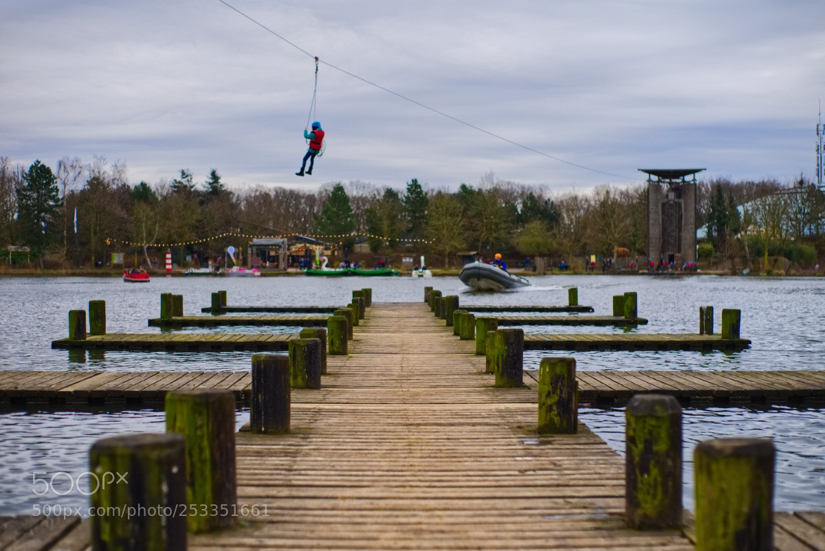 Sony a7 II sample photo. 37 /365  photography