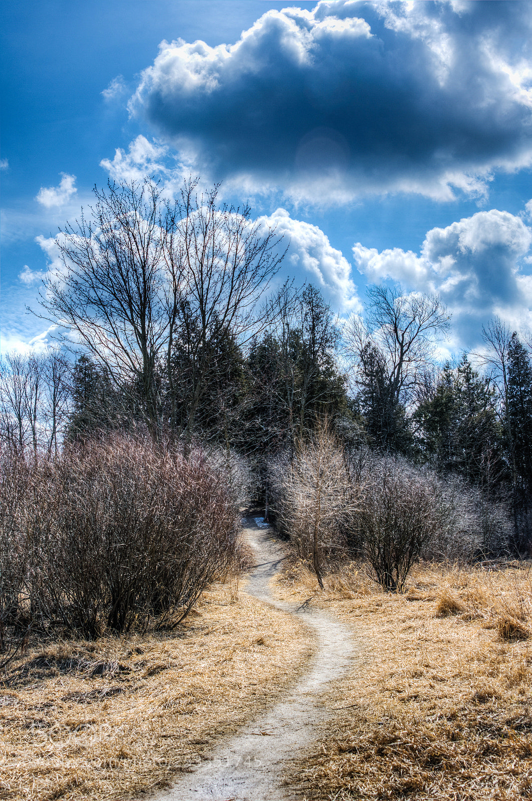 Nikon D7200 sample photo. The april path leading photography