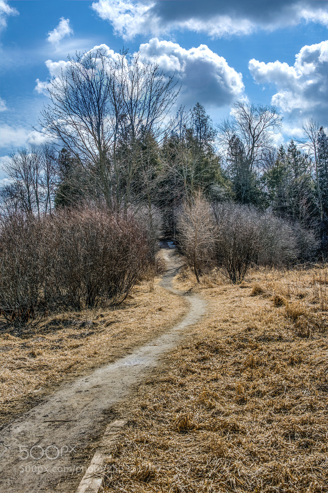 Nikon D7200 sample photo. The narrow spring path photography