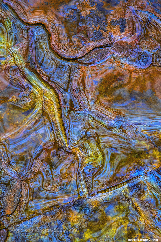 Fujifilm X-T2 sample photo. Creekside colors photography