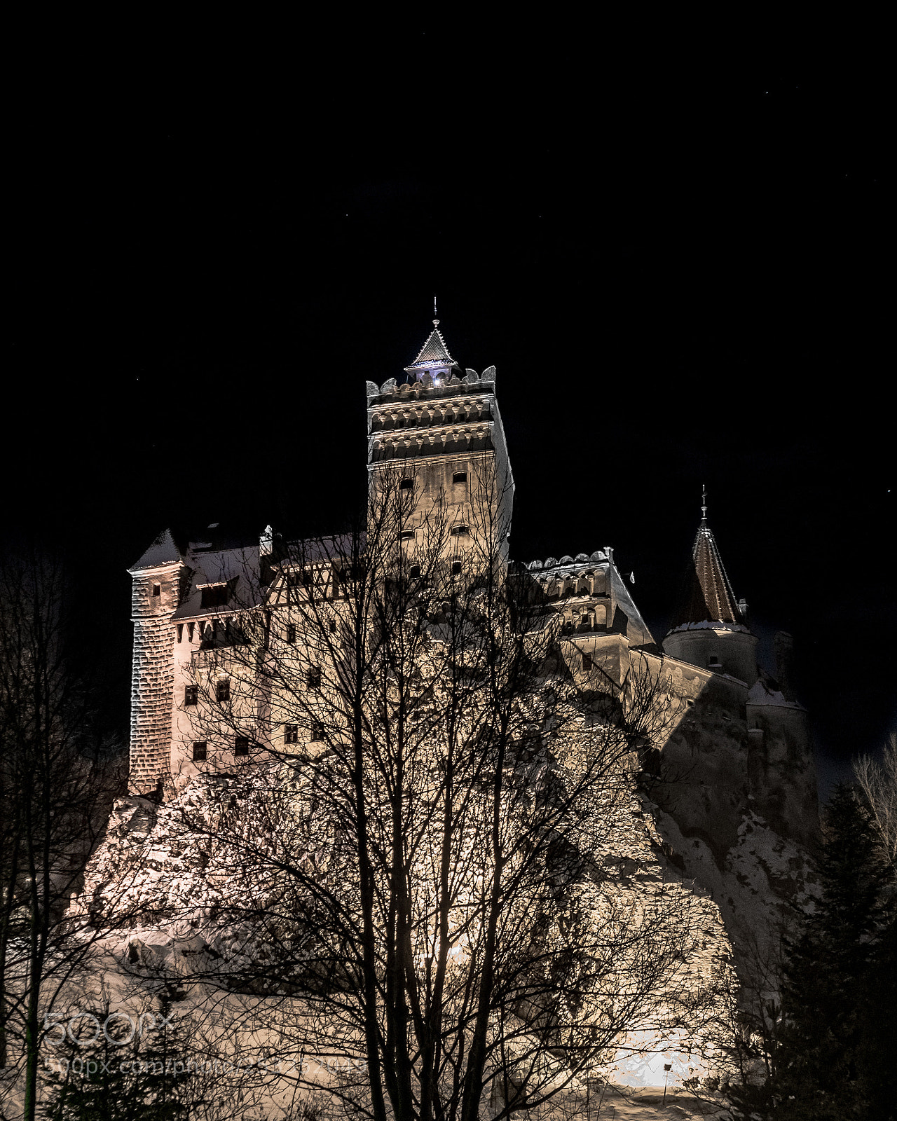 Sony a7R II sample photo. Bran castle at night photography