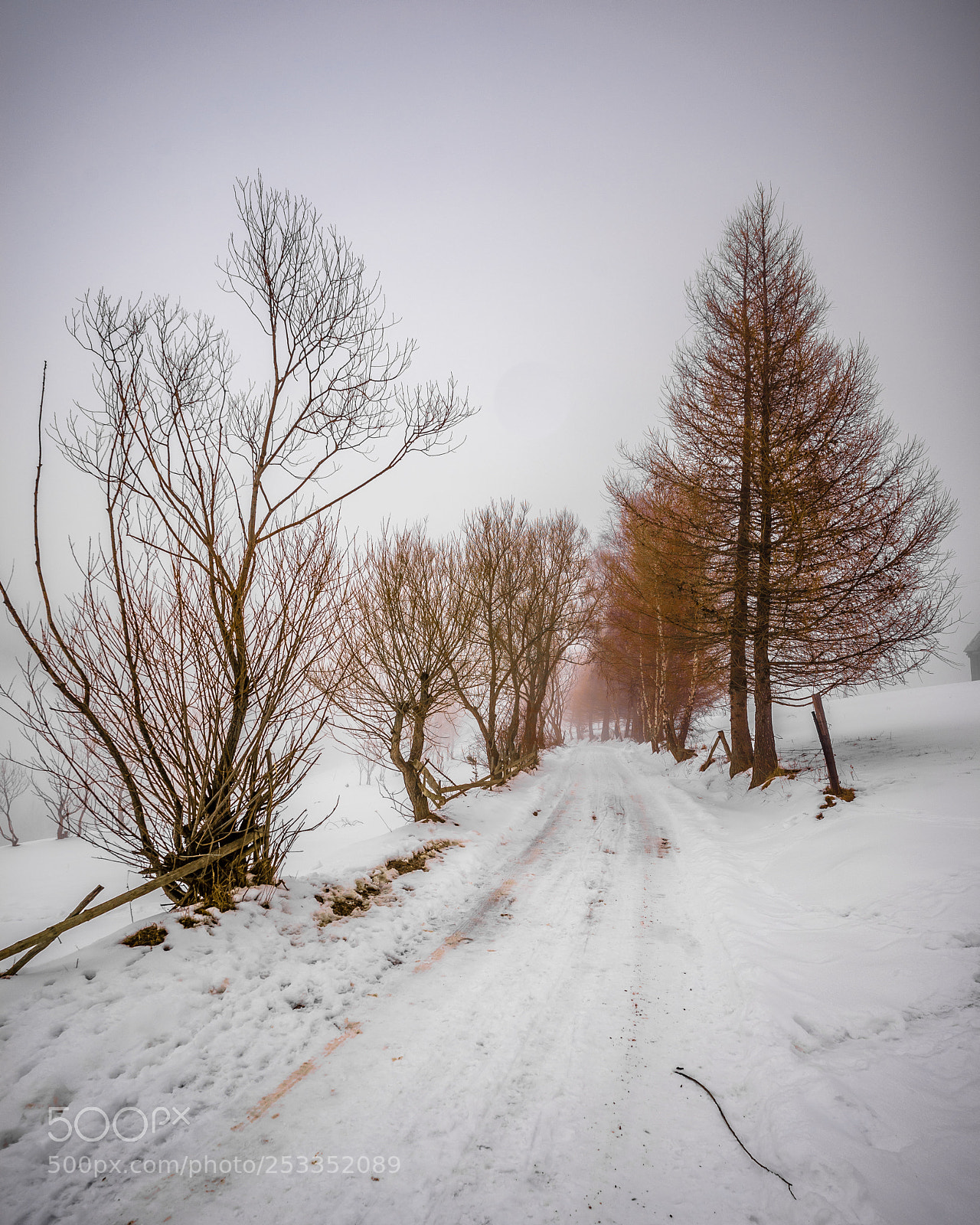 Sony a7R sample photo. Leading line through the photography