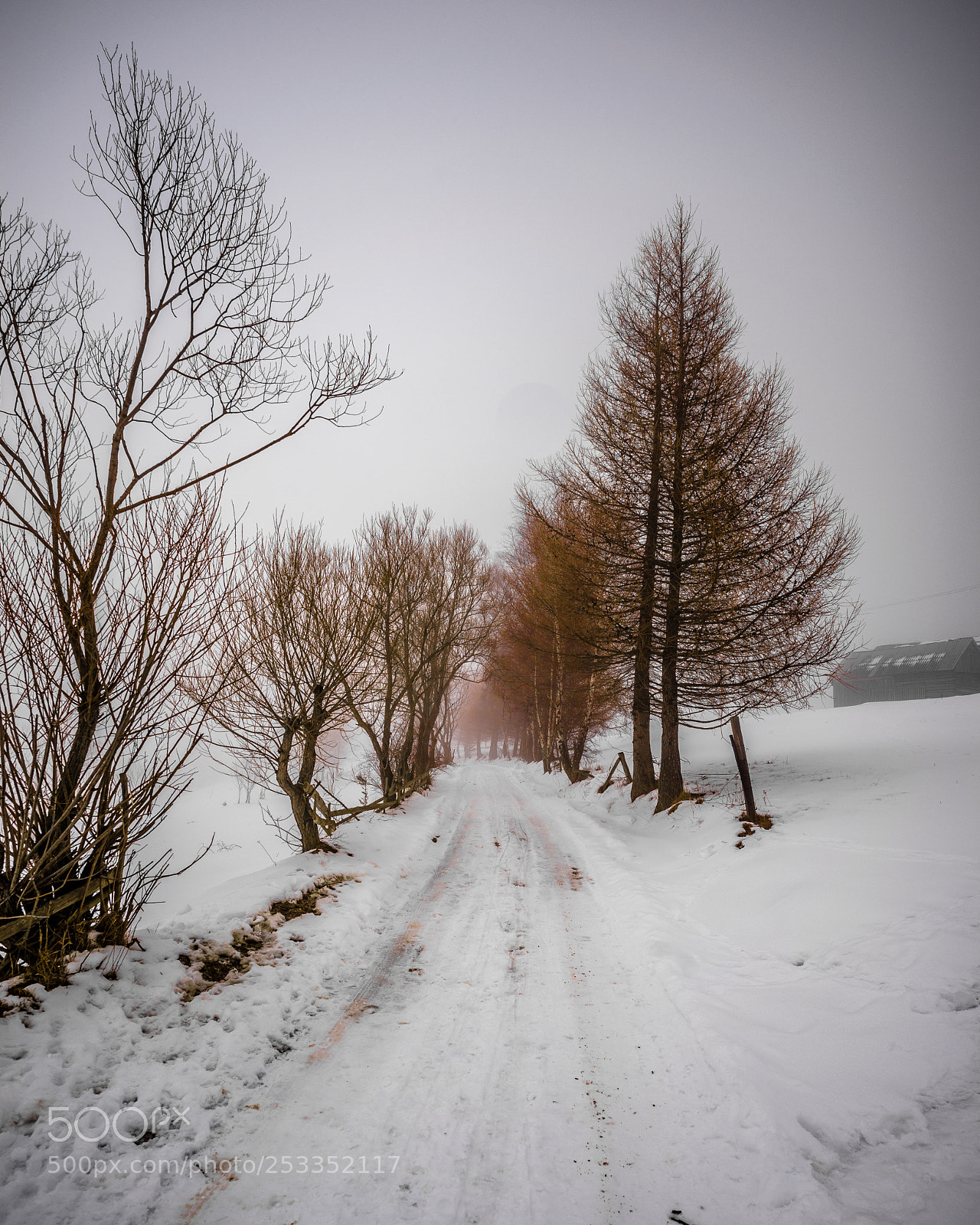 Sony a7R sample photo. Leading line through the photography