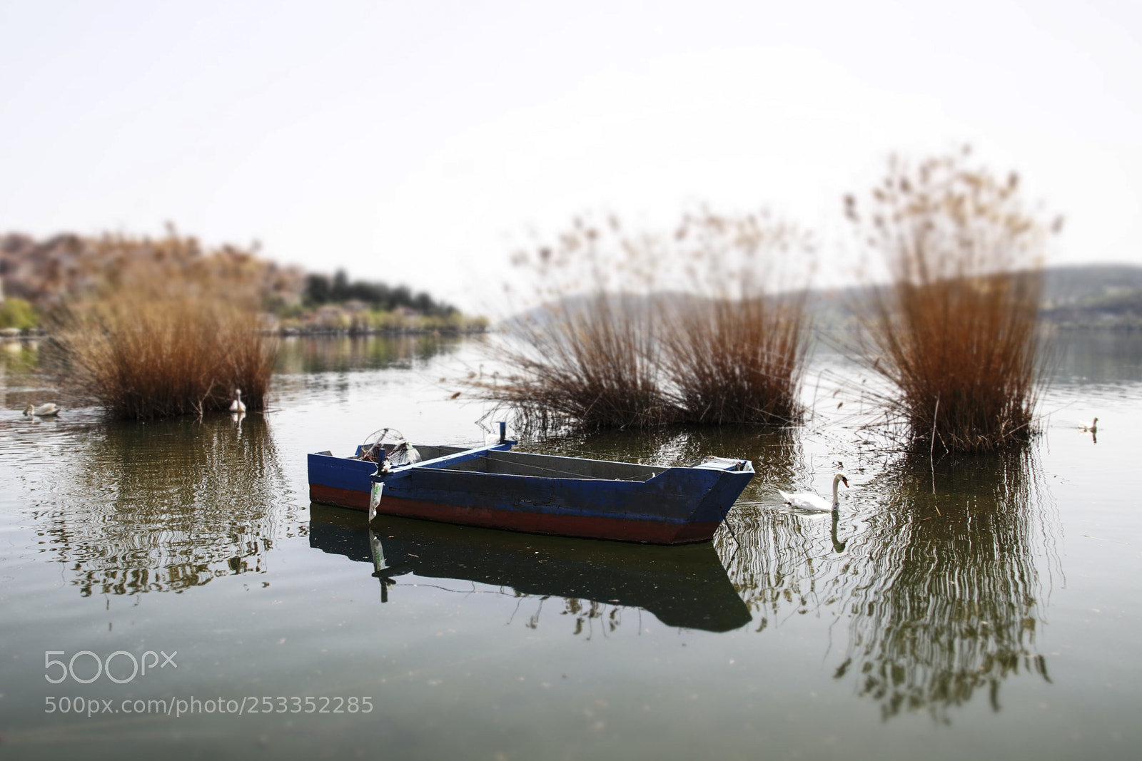 Canon EOS 80D sample photo. Lake dreams photography