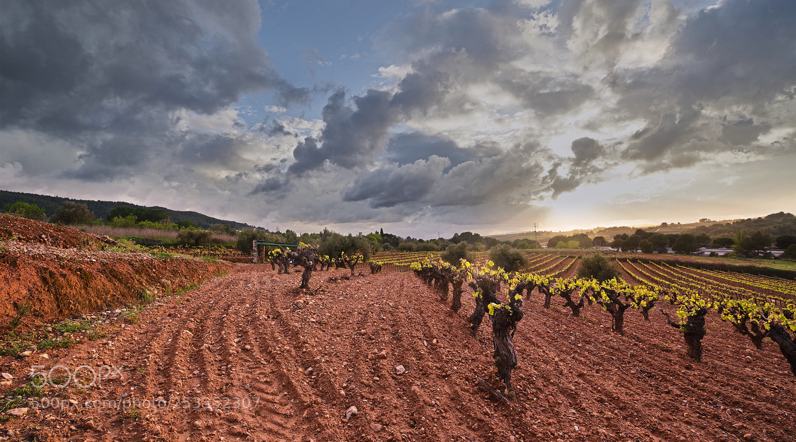 Pentax K-1 sample photo. Puesta de sol en photography