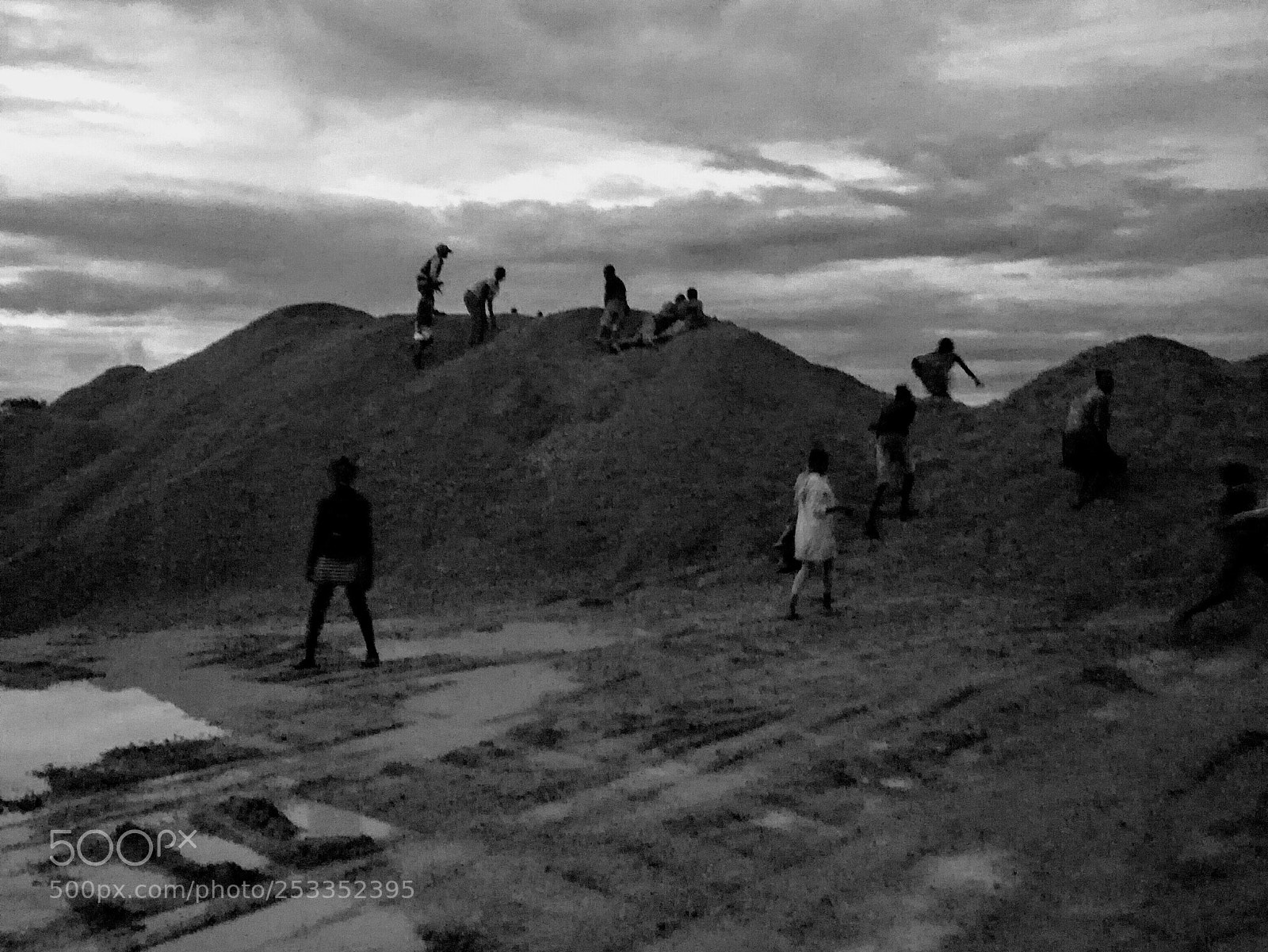 HUAWEI P9 LITE sample photo. Black shalk photography