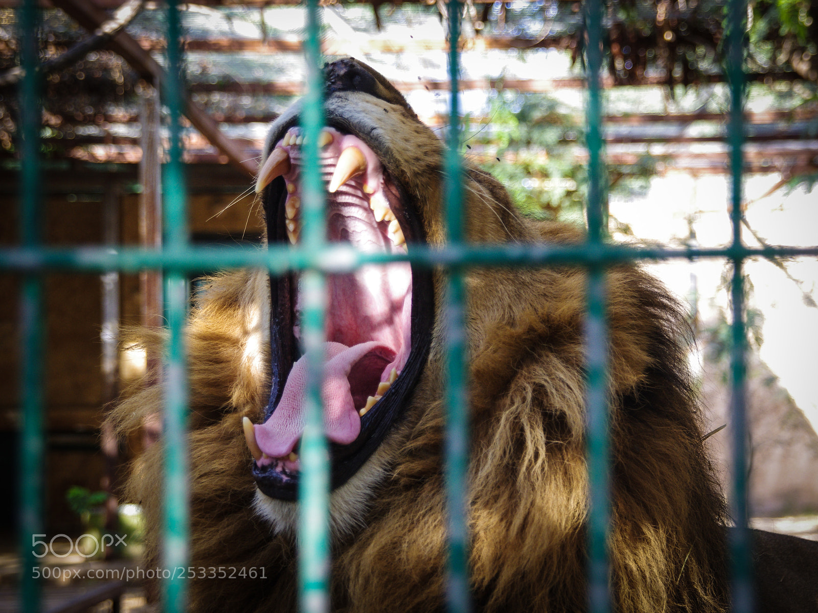 Pentax K-5 sample photo. Qalqilya photography