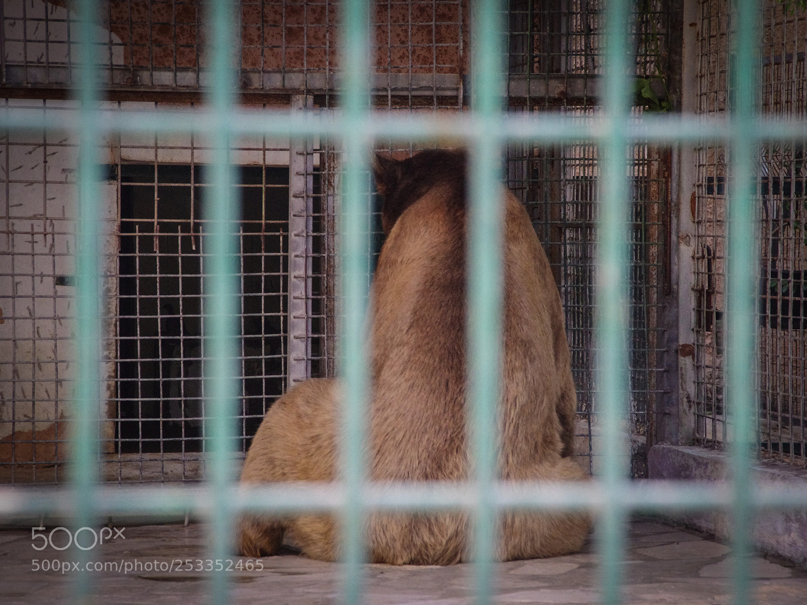 Pentax K-5 sample photo. Qalqilya photography