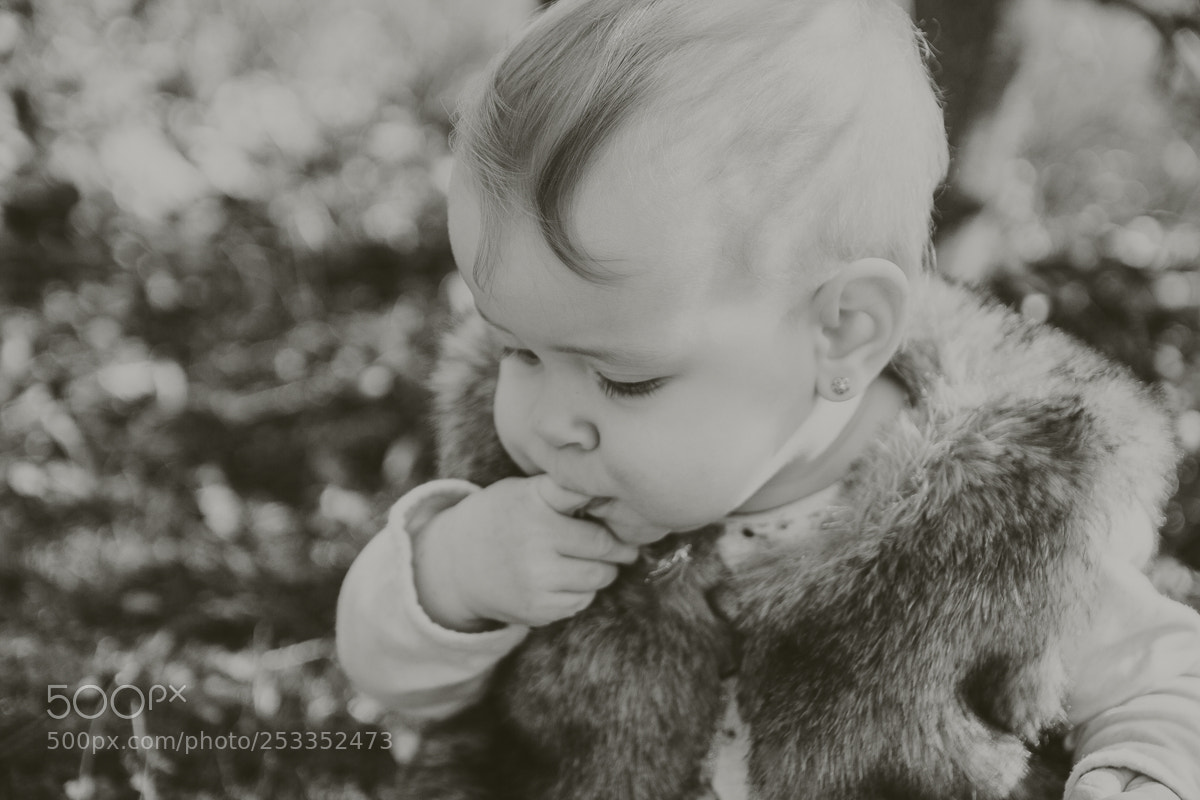 Canon EOS 60D sample photo. Timea photography