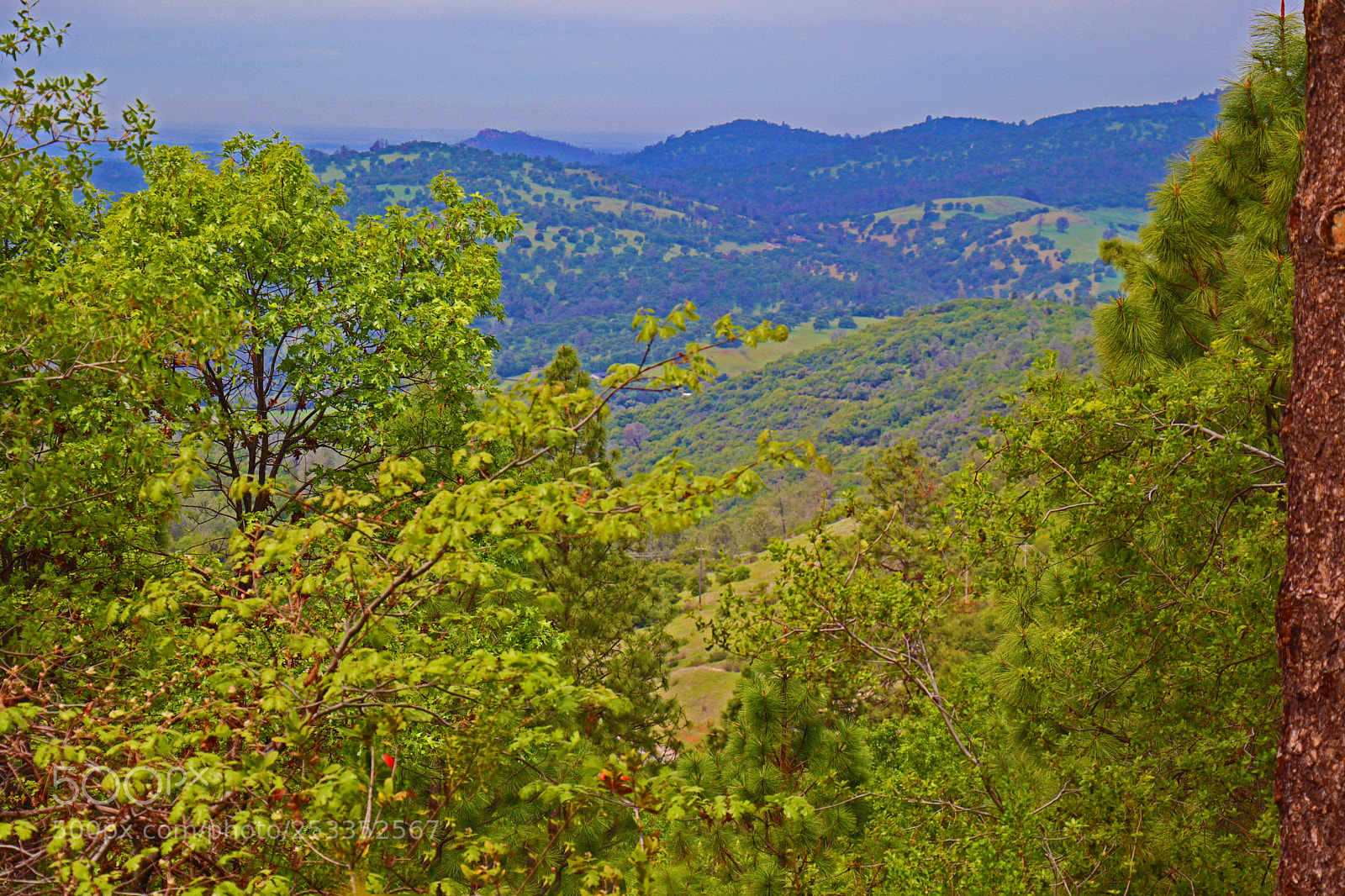Canon EOS M50 (EOS Kiss M) sample photo. Down in the valley photography