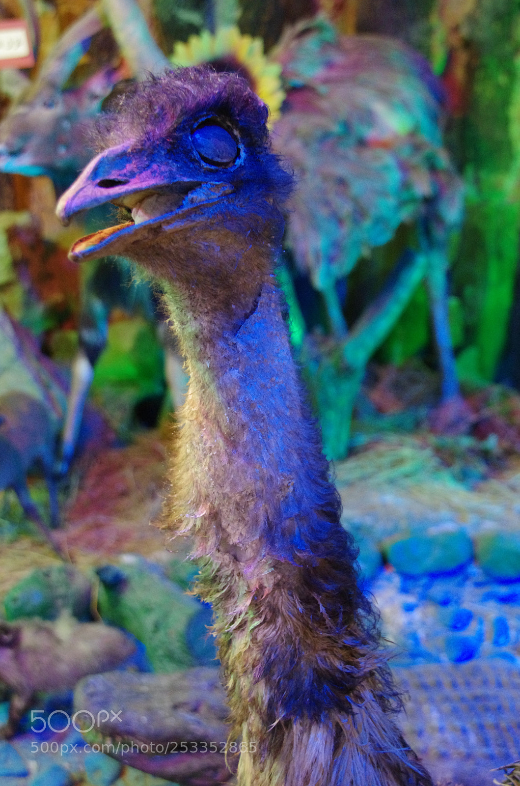 Pentax K-5 sample photo. Qalqilya photography