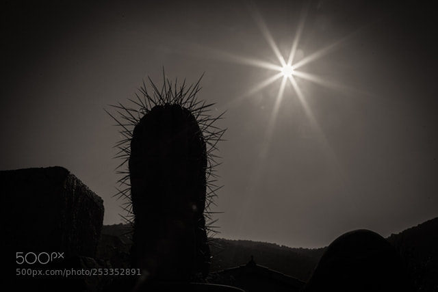 Canon EOS 5D Mark II sample photo. Noche de sol photography