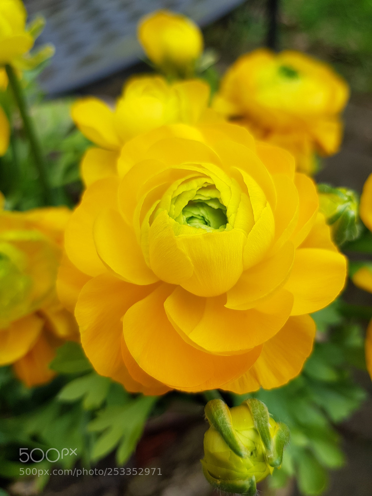 Samsung Galaxy S8+ sample photo. Untitled photography