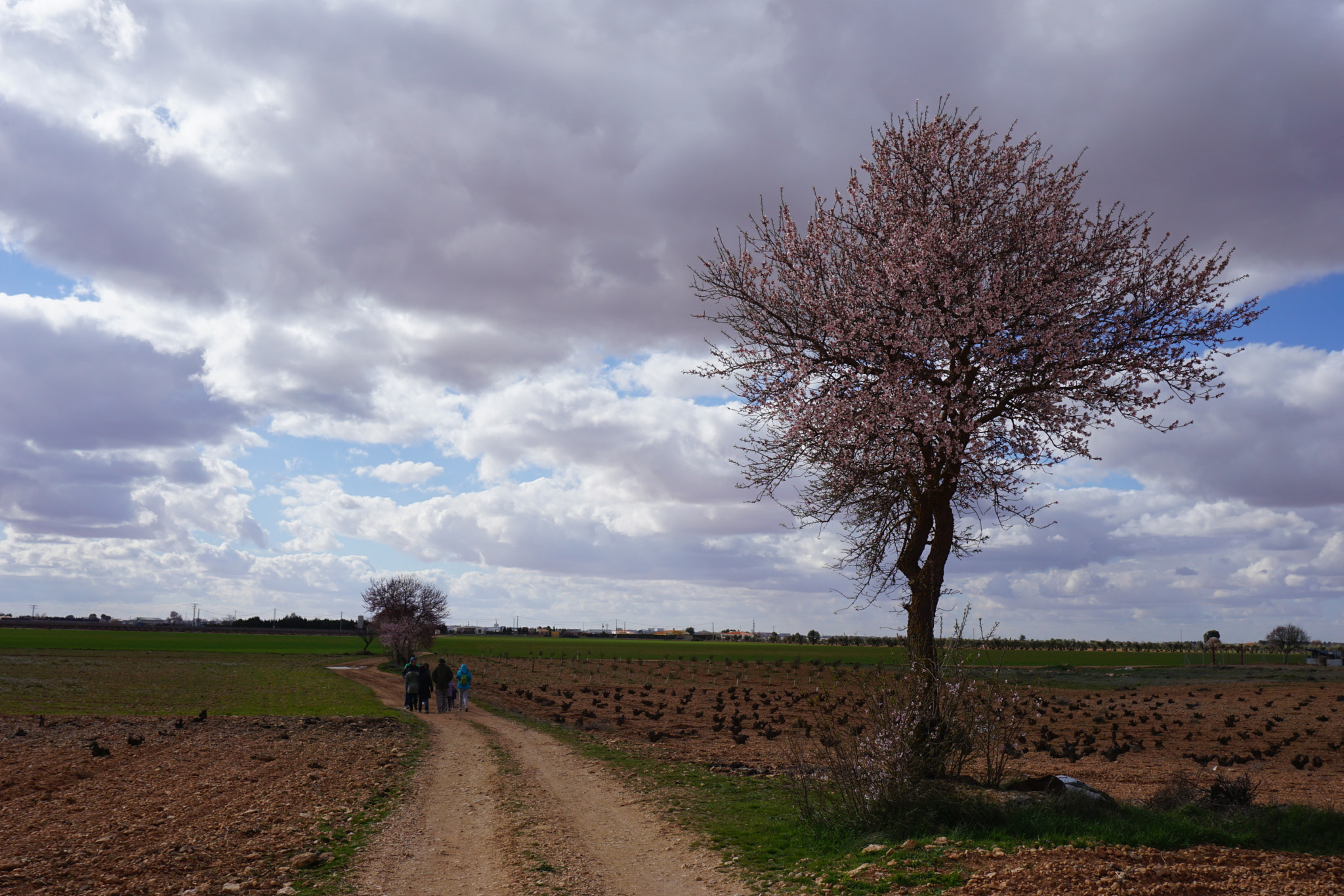 Sony a6000 + Sony E 18-50mm F4-5.6 sample photo. Rural scene photography