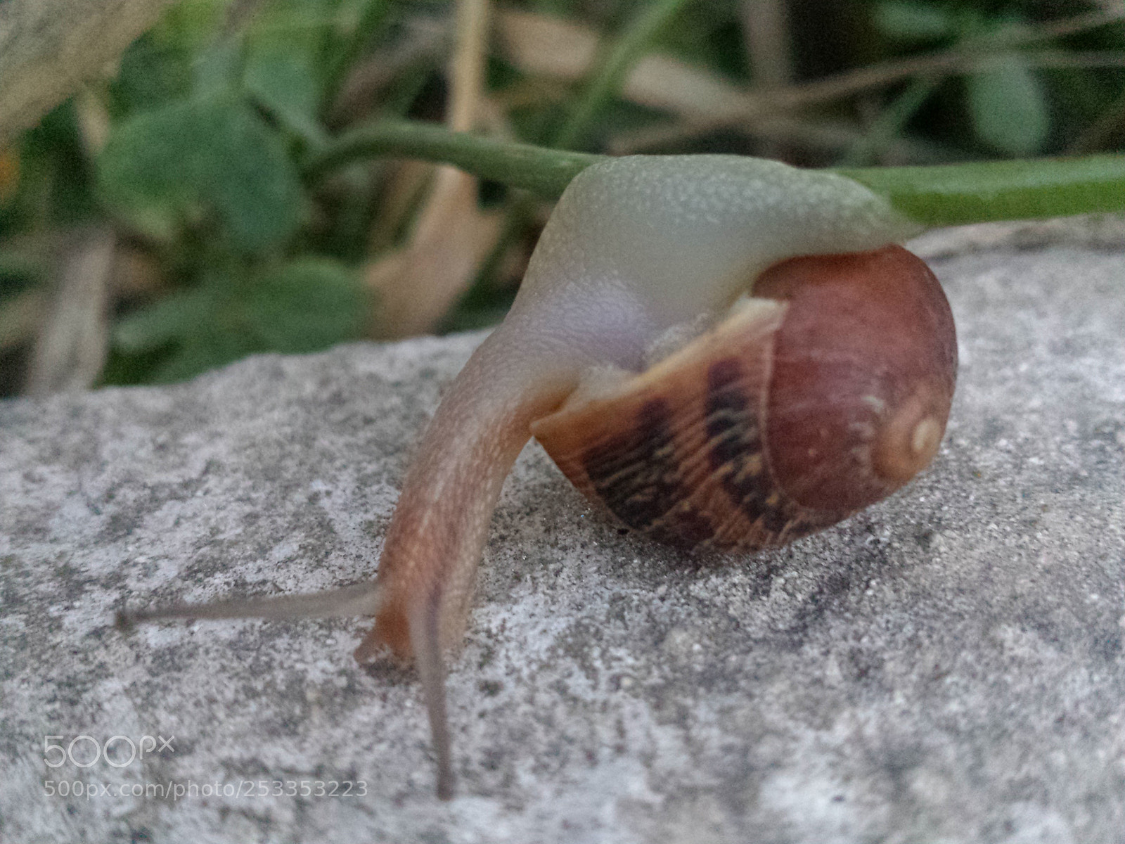 Samsung Galaxy S4 sample photo. Untitled photography