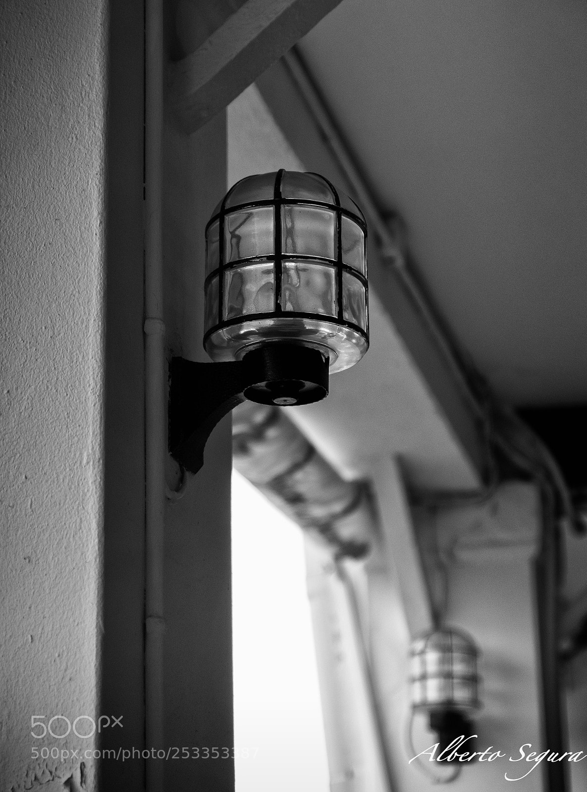 Nikon D610 sample photo. Alb photography