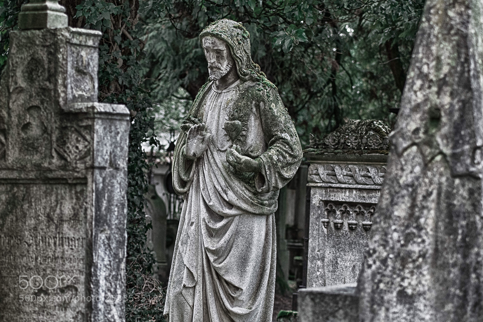 Nikon D5500 sample photo. Oh jesus... photography