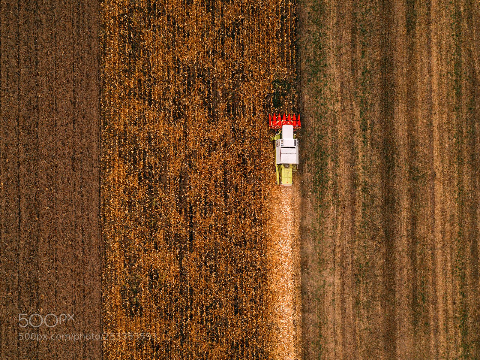 DJI FC220 sample photo. Corn maize harvest, aerial photography