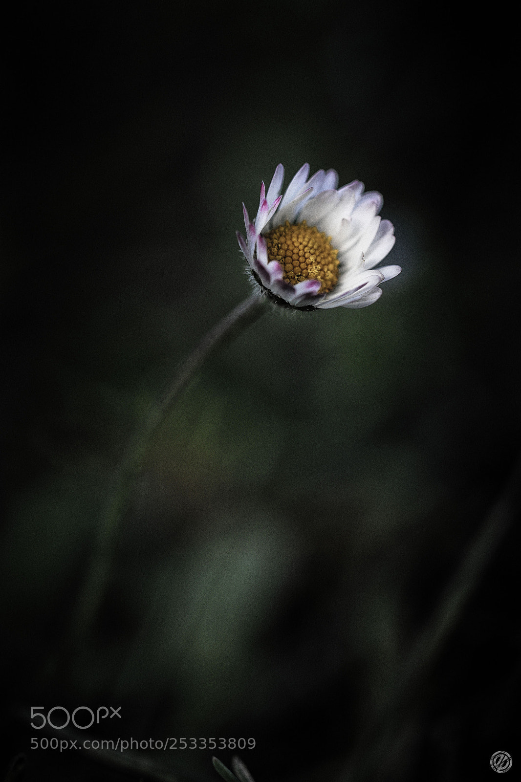 Canon EOS 80D sample photo. Blur photography